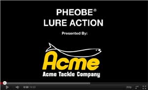 Acme Phoebe Spoon Video
