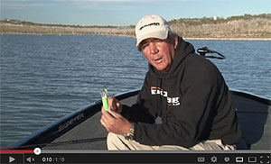 Fat Free Shad Deep Square Lip Crankbait