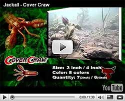 Cover Craw