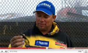 Craw Fatty
