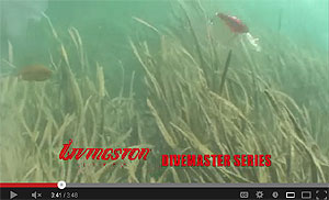 Dive Master 14 Crankbait