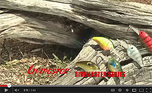 Dive Master 20 Crankbait