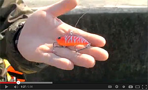 Realis Vibration 68