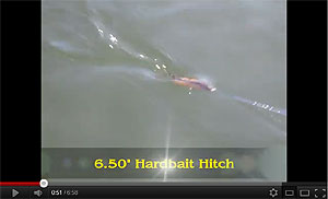 Hard Hitch Swimbait