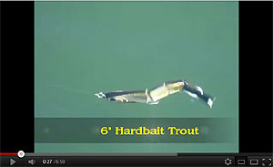 Hard Trout (slow sink) Swimbait