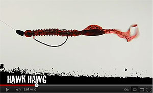 Hawk Hawg