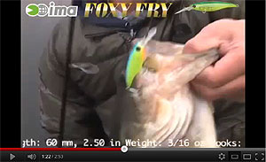 Foxy Fry