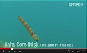 Salty Core Stick