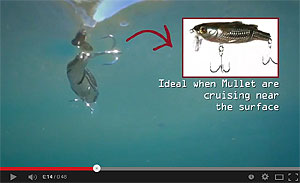 Live Target Mullet Wakebait