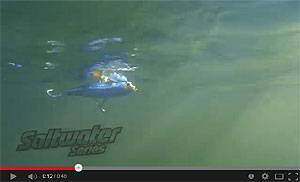 Live Target Mullet Walking Bait