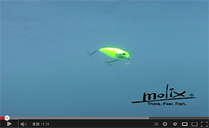 Sculpo SS Crankbait