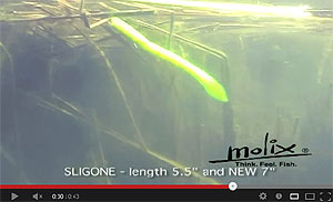 Sligone Worm