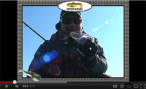 Top Of The Line Swimbaits