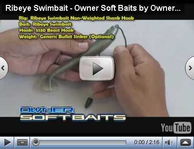 Ribeye Swimbait