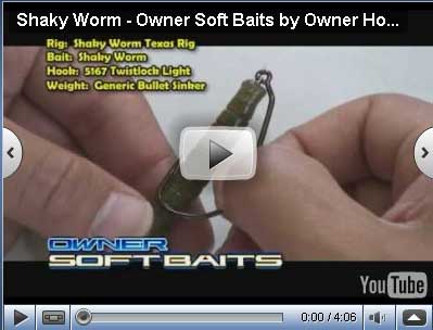 Softbait Shaky Worm