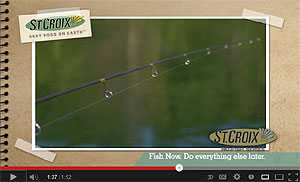 Panfish Series Spinning rods