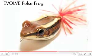 Original Pulse Frog
