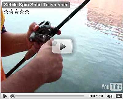 Spin Shad