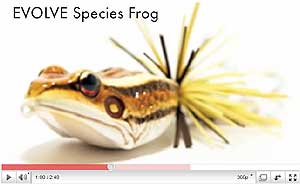 Original Species Frog