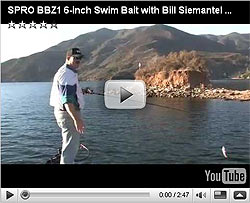 BBZ-1 Jr Swimbait