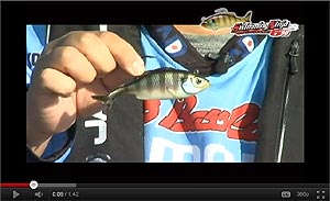 Swimming Ninja G-90 Swimbait