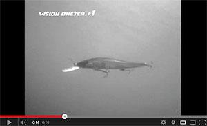Megabass Vision ONETEN+1 Video