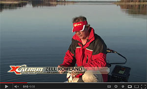 Rattle Bait Series