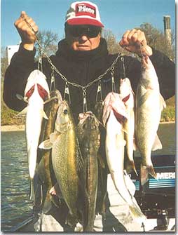 Walleye Tackle Box Basics