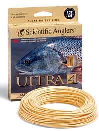 Fly Line Floating Scientific Anglers 3M Mastery Double Taper DT