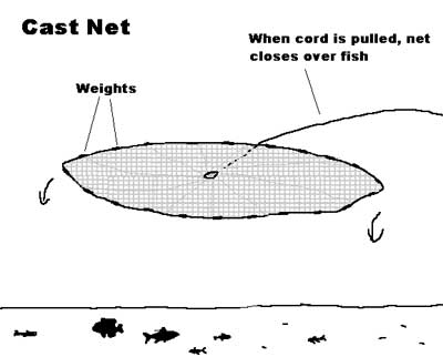 Cast Nets: Free Live Bait and a Workout