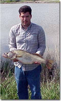 webber falls ok fly fishing webber falls ok fly fishing