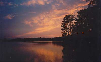 Add a Photo for Lake Martin