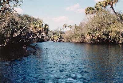 Add a Photo for Myakka River