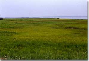 Add a Photo for Chesapeake Bay