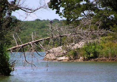 Add a Photo for Arbuckle Lake