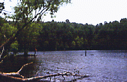Add a Photo for Laurel Hill Lake