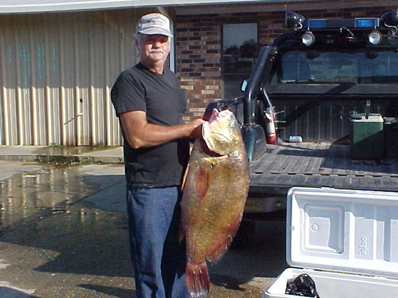 ARK-FreshwaterDrum.jpgARK-FreshwaterDrum.jpg  