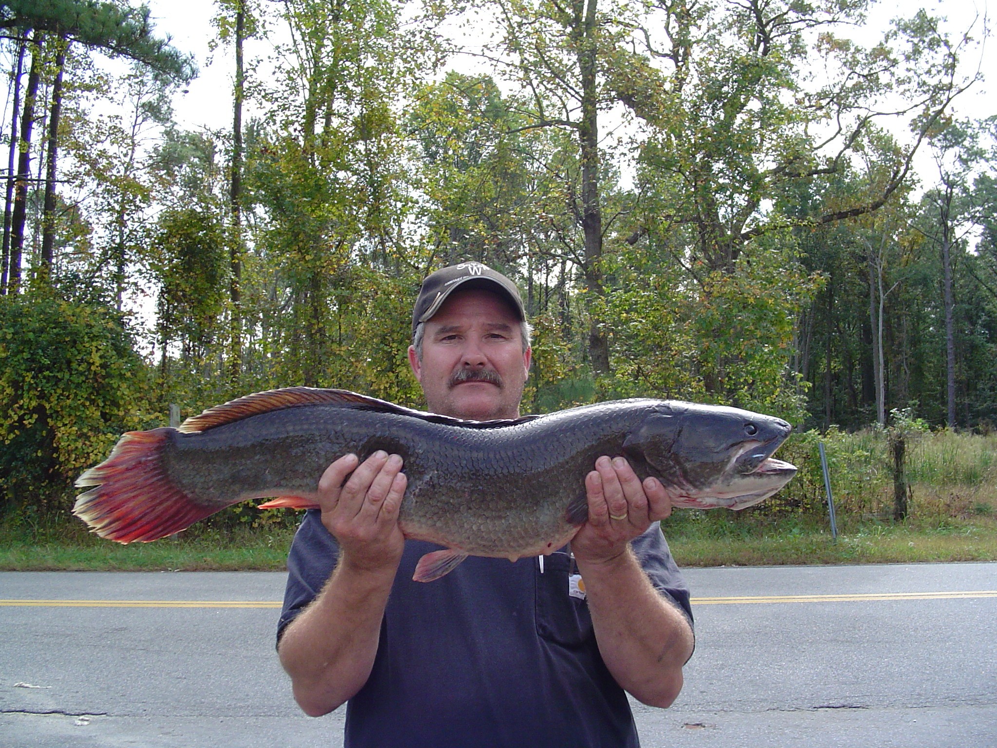 bowfin 720