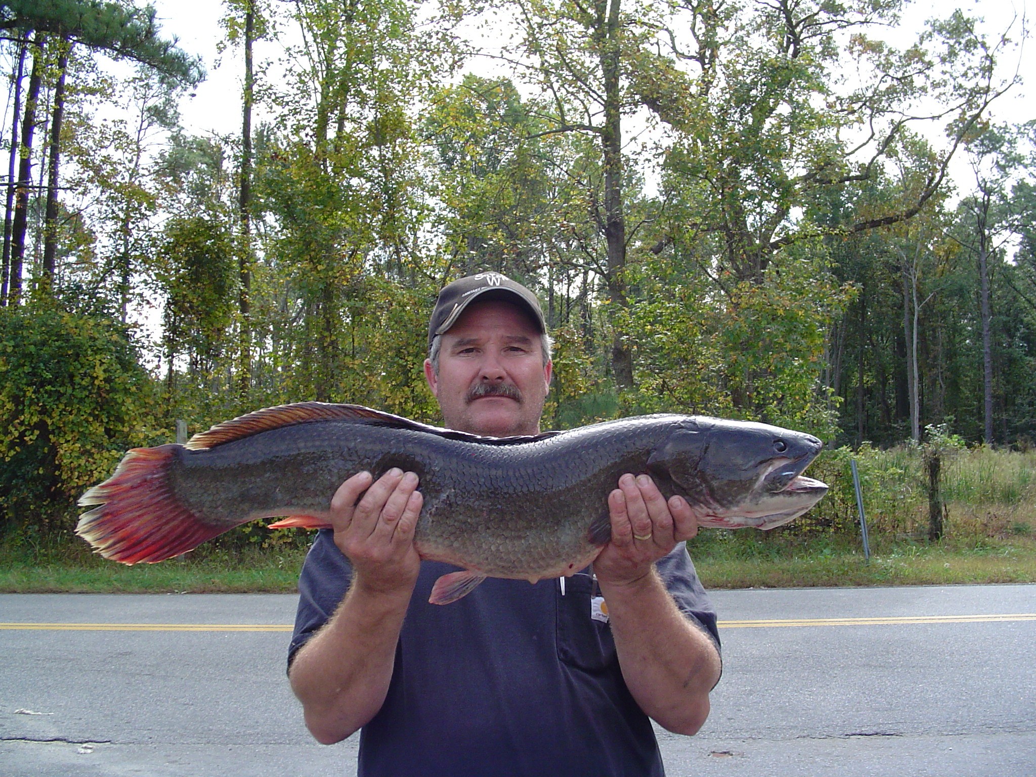 VA-Bowfin.jpg