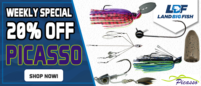 060223-Picasso-Lures-20-Off-Weekly-Special.jpg