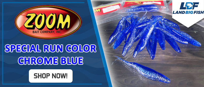 072022-Zoom-Bait-Special-Run-Color-Chrome-Blue-shop-now.jpg