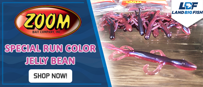072022-Zoom-Bait-Special-Run-Color-Jelly-Bean-shop-now1.jpg