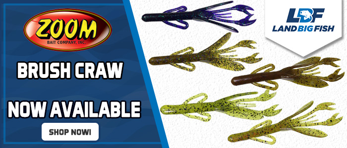 121422-Zoom-Bait-Brush-Craw-new1.jpg