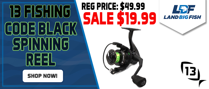 13-Fishing-Code-Black-Spinning-Reel-Without-Box-1999.jpg