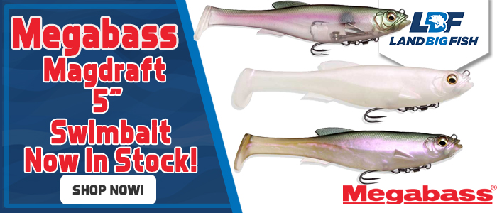 Megabass-Magdraft-5-inch-10-30-25.jpg
