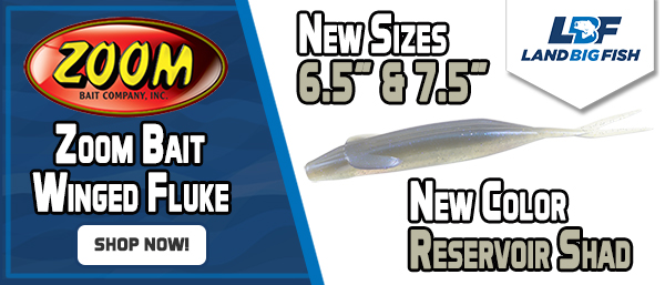 Zoom-Bait-Winged-Fluke-New-Sizes-Color-051425.jpg