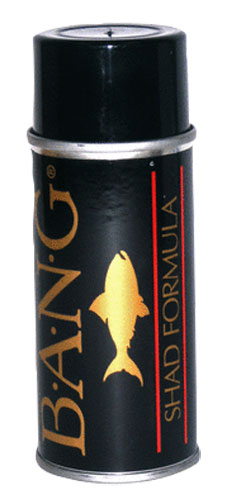 BANG Fish Attractant Formula 5 oz Aerosol Spray Can