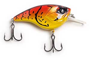 BI1001GGS10001BK