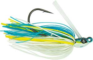BI1020GGS10004G