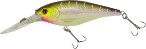 Berkley_Flicker_Shad_Purple_Tiger_alt2